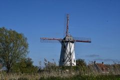 DSC_2103